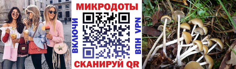 что такое Кудымкар mega ONION Псилоцибиновые грибы Psilocybine cubensis