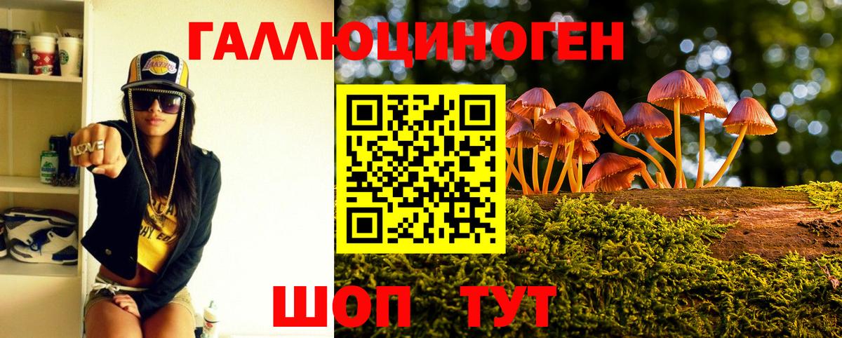 Псилоцибиновые грибы GOLDEN TEACHER Кудымкар