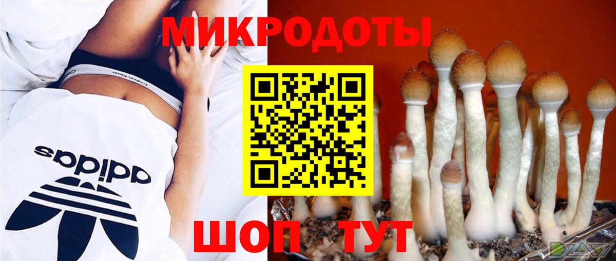 Кудымкар  Псилоцибиновые грибы Cubensis  Вход с VPN 