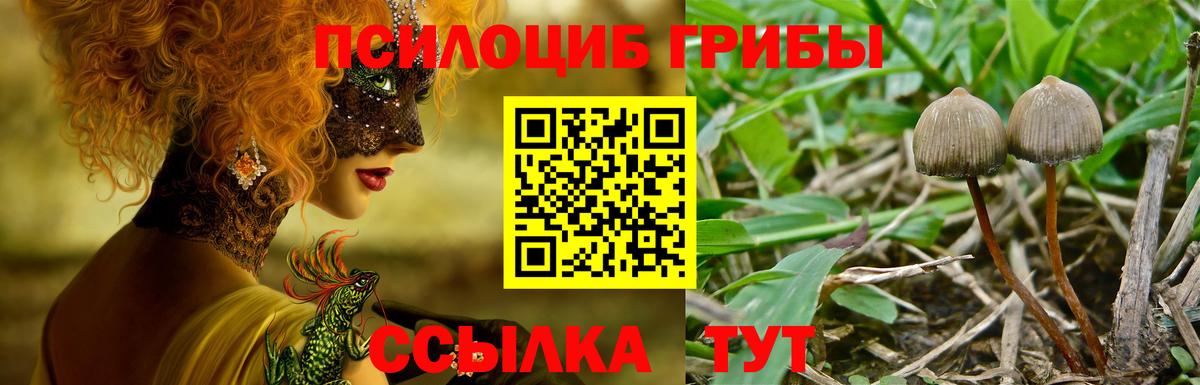 Псилоцибиновые грибы прущие грибы  Кудымкар  Псилоцибиновые грибы MAGIC MUSHROOMS 