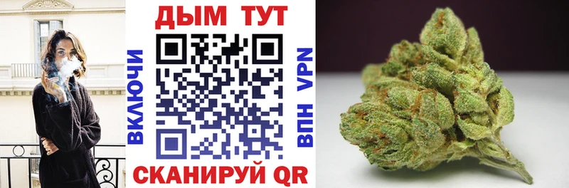 Бошки Шишки планчик  Кудымкар 